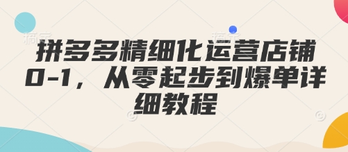 拼多多精细化运营店铺0-1，从零起步到爆单详细教程 - 搞薯条网-搞薯条网