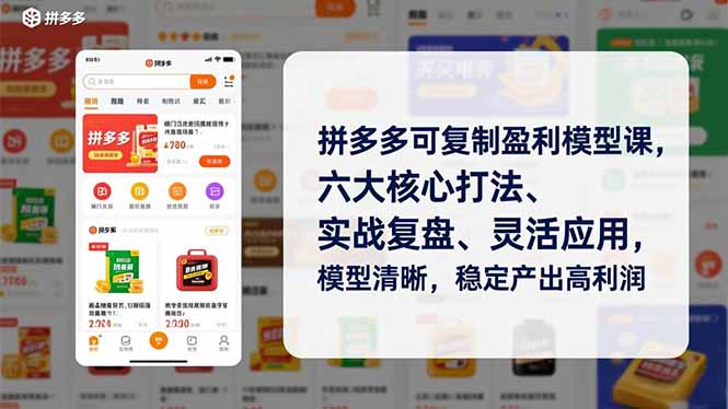 拼多多可复制盈利模型课,六大核心打法、实战复盘、灵活应用,模型清晰,稳定产出高利润-搞薯条网