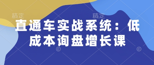 直通车实战系统：低成本询盘增长课，让个人通过技能实现升职加薪，让企业低成本获客，订单源源不断 - 搞薯条网-搞薯条网