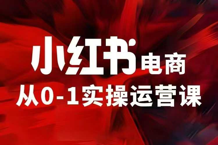 小红书电商运营，97节小红书vip内部课，带你实现小红书赚钱 - 搞薯条网-搞薯条网