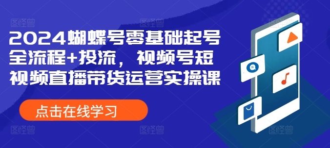 2024蝴蝶号零基础起号全流程+投流，视频号短视频直播带货运营实操课 - 搞薯条网-搞薯条网