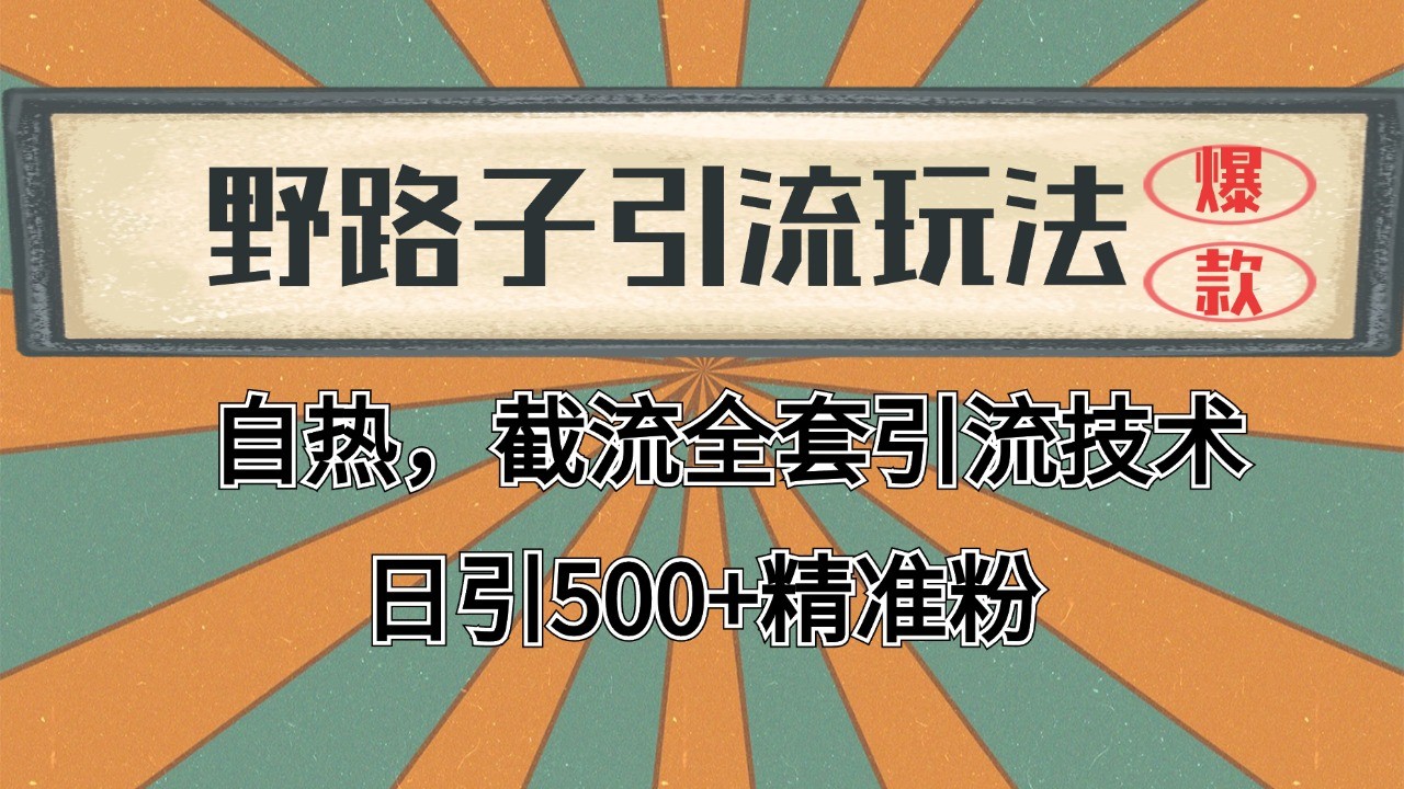 抖音小红书视频号全平台引流打法，全自动引流日引2000+精准客户 - 搞薯条网-搞薯条网