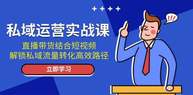 私域运营实战课：直播带货结合短视频，解锁私域流量转化高效路径 - 搞薯条网-搞薯条网