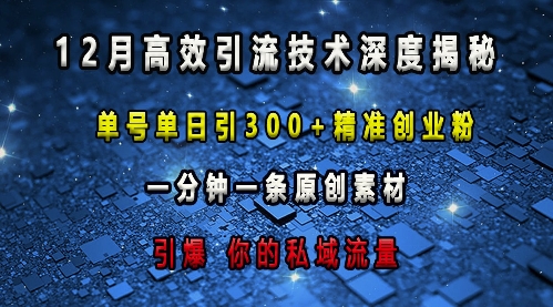 最新高效引流技术深度揭秘 ，单号单日引300+精准创业粉，一分钟一条原创素材，引爆你的私域流量 - 搞薯条网-搞薯条网