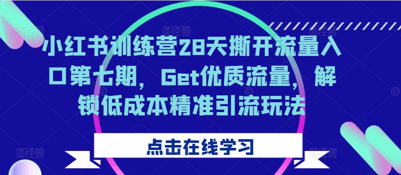 小红书训练营28天撕开流量入口第七期，Get优质流量，解锁低成本精准引流玩法 - 搞薯条网-搞薯条网