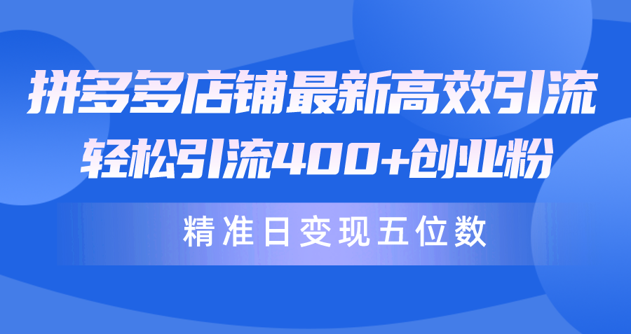 (10041期)拼多多店铺最新高效引流术，轻松引流400+创业粉，精准日变现五位数！ - 搞薯条网-搞薯条网