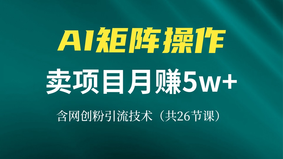 网创IP打造课，借助AI卖项目月赚5万+，含引流技术(共26节课 - 搞薯条网-搞薯条网