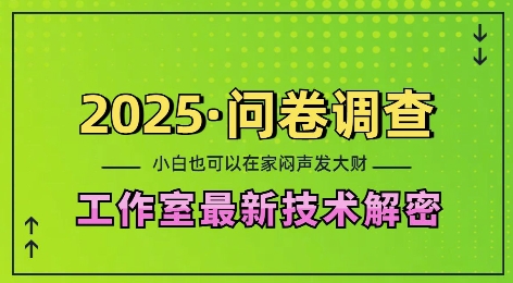 2025问卷调查最新工作室技术解密：一个人在家也可以闷声发大财，小白一天2张，可矩阵放大【揭秘】 - 搞薯条网-搞薯条网