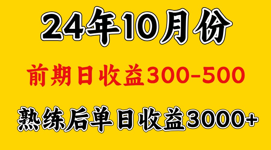 高手是怎么赚钱的.前期日收益500+熟练后日收益3000左右 - 搞薯条网-搞薯条网