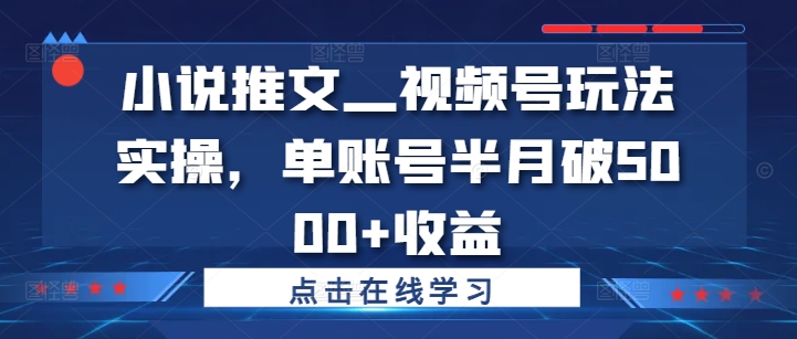 小说推文—视频号玩法实操，单账号半月破5000+收益 - 搞薯条网-搞薯条网