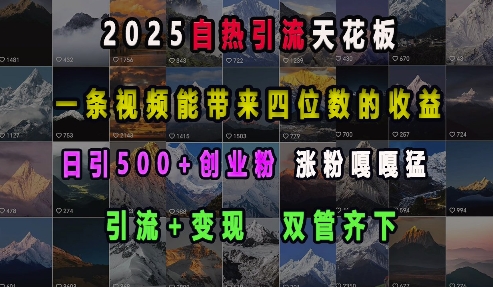 2025自热引流天花板，一条视频能带来四位数的收益，引流+变现双管齐下，日引500+创业粉，涨粉嘎嘎猛 - 搞薯条网-搞薯条网