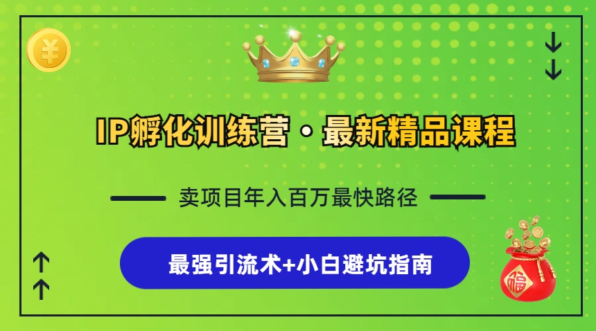 IP孵化训练营，知识付费全流程+最强引流术+小白避坑指南 - 搞薯条网-搞薯条网