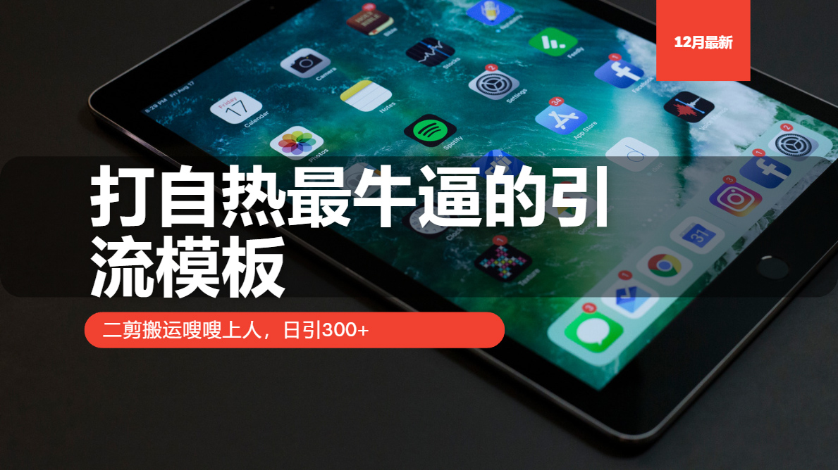 打自热最牛逼的引流模板，二剪搬运嗖嗖上人，日引300+ - 搞薯条网-搞薯条网