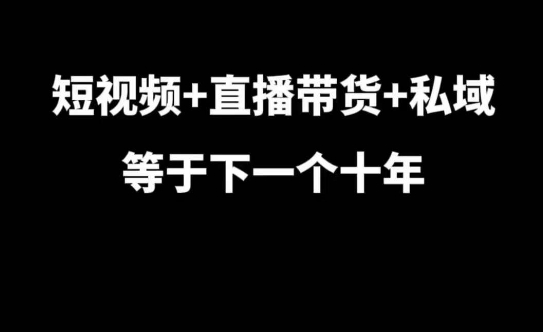 短视频+直播带货+私域等于下一个十年，大佬7年实战经验总结 - 搞薯条网-搞薯条网