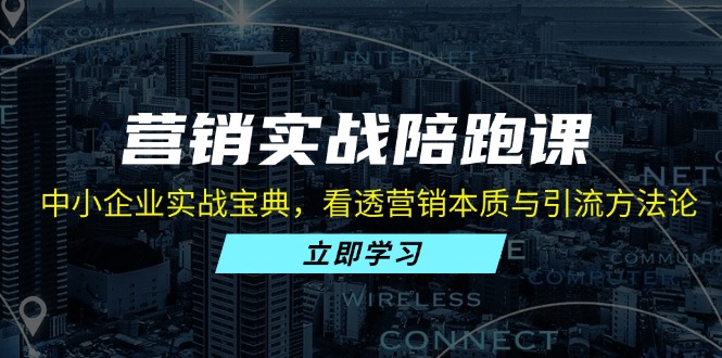 营销实战陪跑课：中小企业实战宝典，看透营销本质与引流方法论 - 搞薯条网-搞薯条网