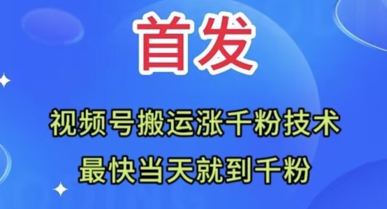 全网首发：视频号无脑搬运涨千粉技术，最快当天到千粉【揭秘】 - 搞薯条网-搞薯条网