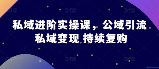 私域进阶实操课，公域引流 私域变现 持续复购 - 搞薯条网-搞薯条网