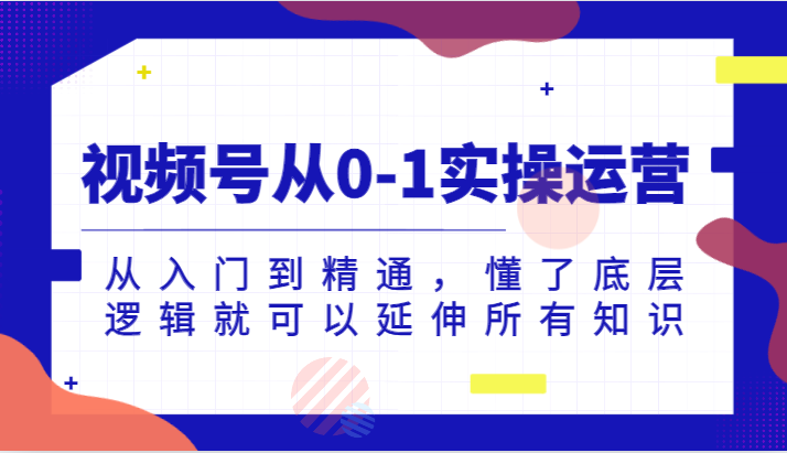 视频号从0-1实操运营，从入门到精通，懂了底层逻辑就可以延伸所有知识(更新2024.7) - 搞薯条网-搞薯条网