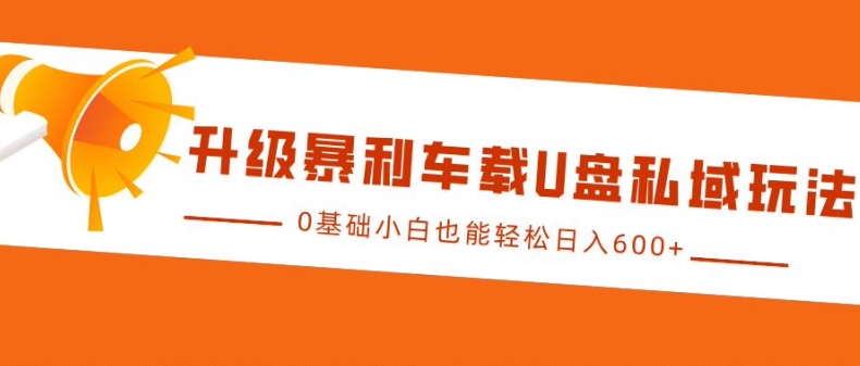 升级暴利车载U盘私域玩法，0基础小白也能轻松日入多张【揭秘】 - 搞薯条网-搞薯条网