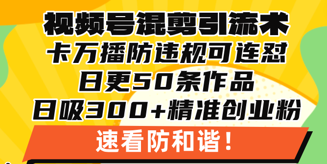 视频号混剪引流技术，500万播放引流17000创业粉，操作简单当天学会 - 搞薯条网-搞薯条网