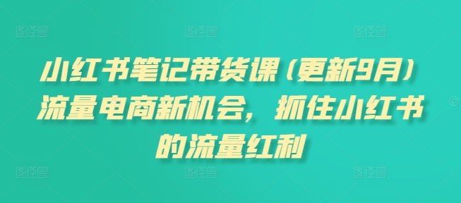 小红书笔记带货课(更新9月)流量电商新机会，抓住小红书的流量红利 - 搞薯条网-搞薯条网