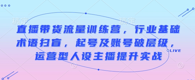 直播带货流量训练营，行业基础术语扫盲，起号及账号破层级，运营型人设主播提升实战 - 搞薯条网-搞薯条网