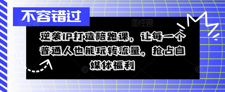 逆袭IP打造陪跑课，让每一个普通人也能玩转流量，抢占自媒体福利 - 搞薯条网-搞薯条网