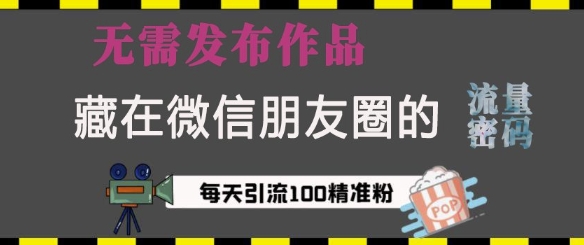 藏在微信朋友圈的流量密码，无需发布作品，单日引流100+精准创业粉【揭秘】 - 搞薯条网-搞薯条网