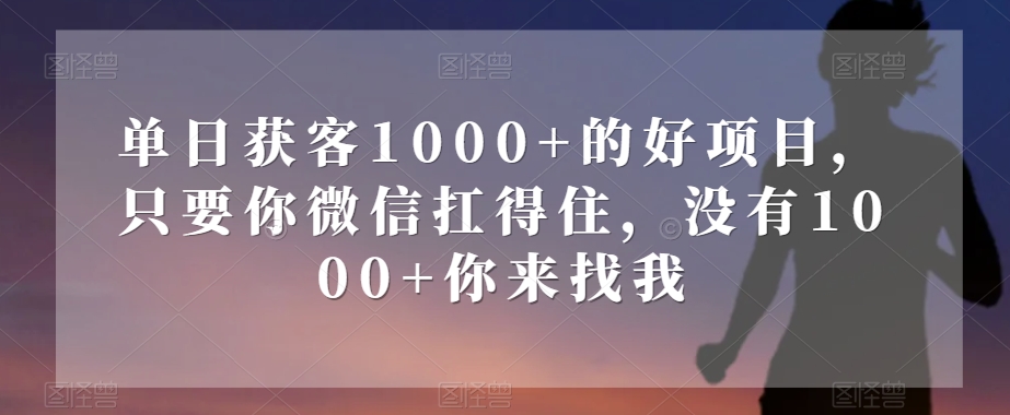 单日获客1000+的好项目，只要你微信扛得住，没有1000+你来找我【揭秘】 - 搞薯条网-搞薯条网