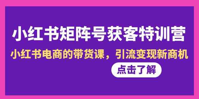 小红书矩阵号获客特训营-第10期，小红书电商的带货课，引流变现新商机 - 搞薯条网-搞薯条网