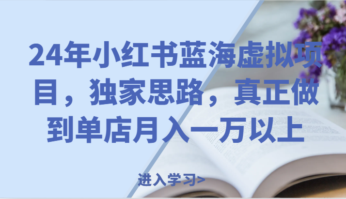 24年小红书蓝海虚拟项目，独家思路，真正做到单店月入一万以上。 - 搞薯条网-搞薯条网