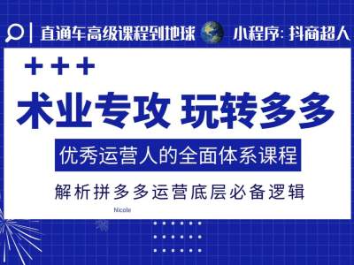 术业专攻玩转多多，优秀运营人的全面体系课程，解析拼多多运营底层必备逻辑 - 搞薯条网-搞薯条网