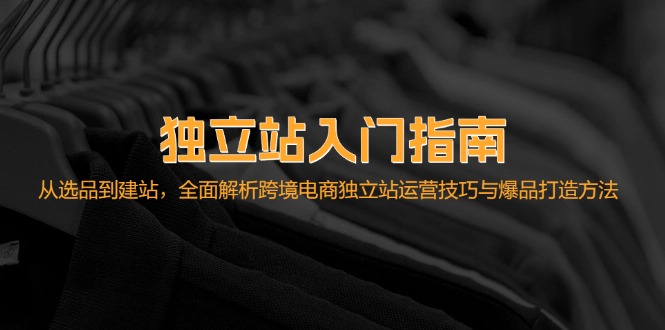 独立站入门指南：从选品到建站，全面解析跨境电商独立站运营技巧与爆品… - 搞薯条网-搞薯条网