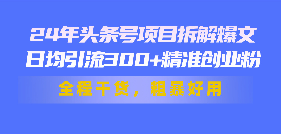 24年头条号项目拆解爆文，日均引流300+精准创业粉，全程干货，粗暴好用 - 搞薯条网-搞薯条网