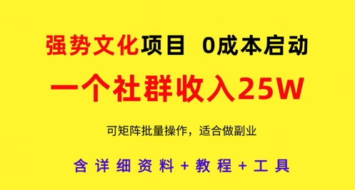 强势文化项目，一个社群收入25个W，0成本启动，可矩阵批量操作，原创详细实操教程 - 搞薯条网-搞薯条网
