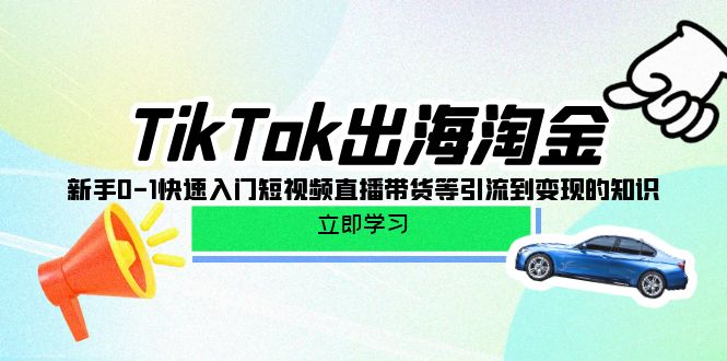 (10035期)TikTok-出海淘金，新手0-1快速入门短视频直播带货等引流到变现的知识 - 搞薯条网-搞薯条网