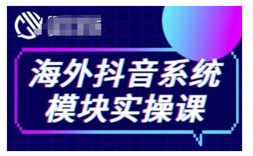 海外抖音Tiktok系统模块实操课，TK短视频带货，TK直播带货，TK小店端实操等 - 搞薯条网-搞薯条网