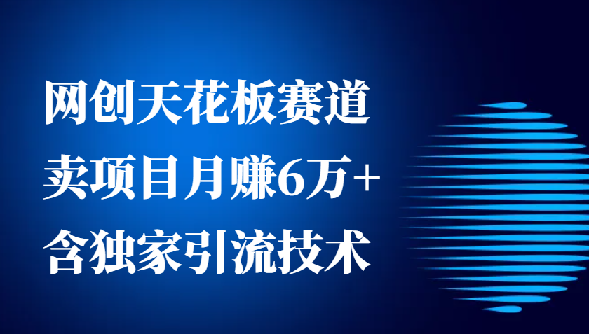 网创天花板赛道，卖项目月赚6万+，含独家引流技术(共26节课) - 搞薯条网-搞薯条网