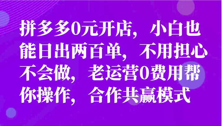 最新拼多多优质项目小白福利，两天销量过百单，不收费、老运营代操作 - 搞薯条网-搞薯条网