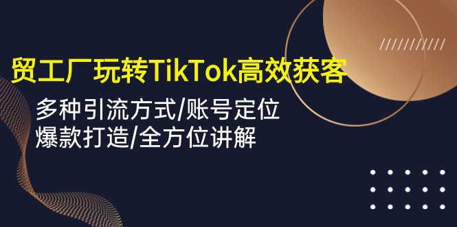 外贸工厂玩转TikTok高效获客，多种引流方式/账号定位/爆款打造/全方位讲解 - 搞薯条网-搞薯条网