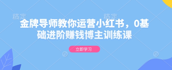 金牌导师教你运营小红书，0基础进阶赚钱博主训练课 - 搞薯条网-搞薯条网