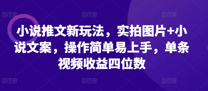 小说推文新玩法，实拍图片+小说文案，操作简单易上手，单条视频收益四位数 - 搞薯条网-搞薯条网