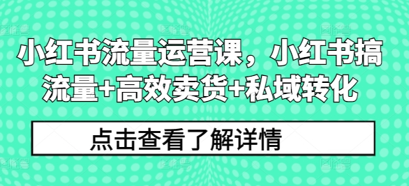 小红书流量运营课，小红书搞流量+高效卖货+私域转化 - 搞薯条网-搞薯条网