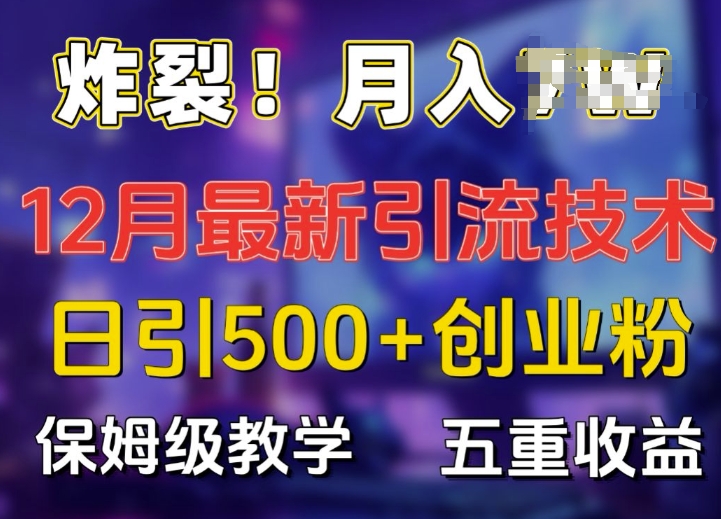 炸裂!揭秘12月最新日引流500+精准创业粉，多重收益保姆级教学 - 搞薯条网-搞薯条网