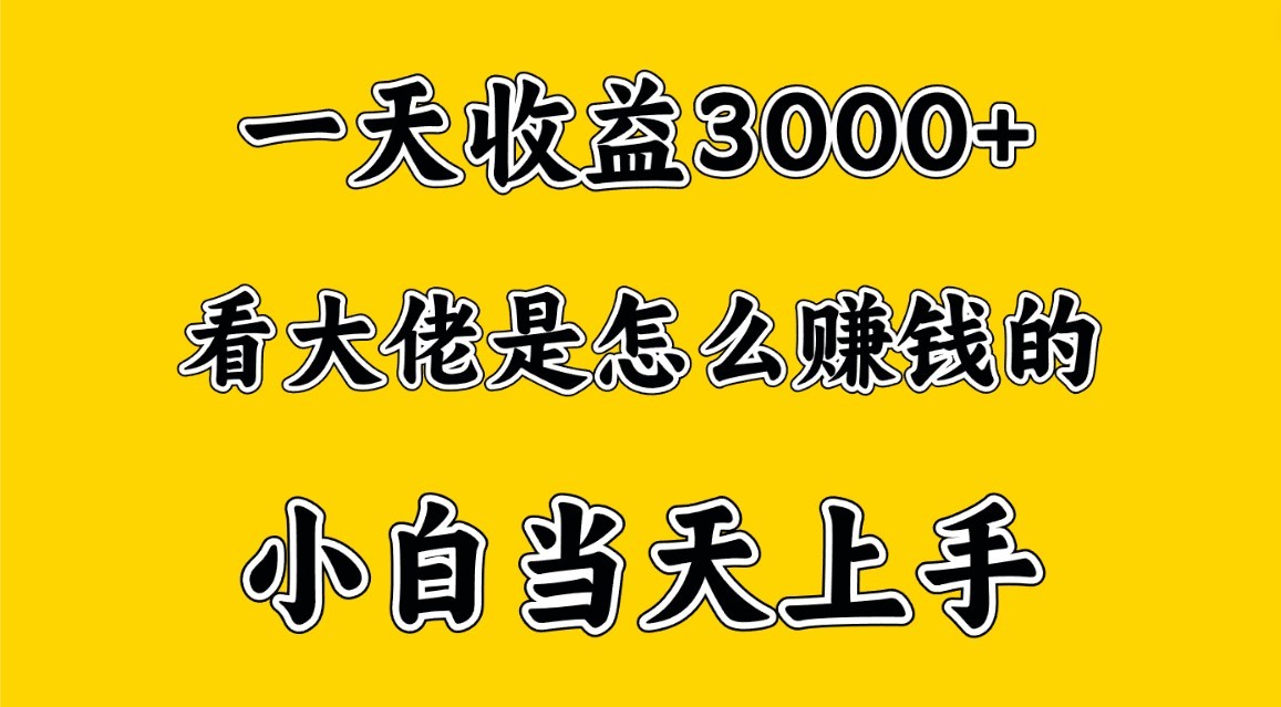 一天赚3000多，大佬是这样赚到钱的，小白当天上手，穷人翻身项目 - 搞薯条网-搞薯条网