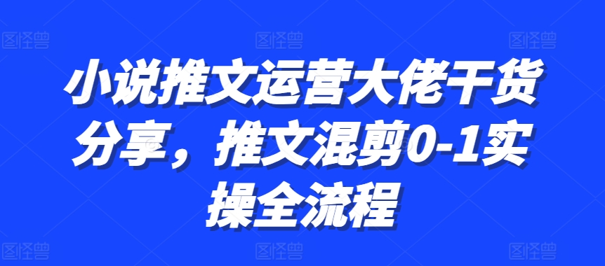 小说推文运营大佬干货分享，推文混剪0-1实操全流程 - 搞薯条网-搞薯条网