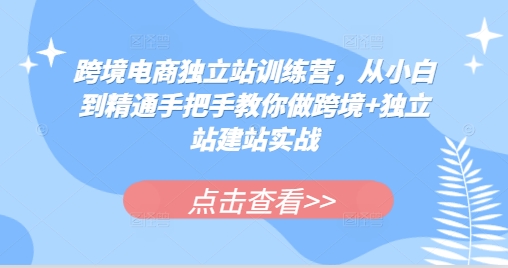 跨境电商独立站训练营，从小白到精通手把手教你做跨境+独立站建站实战 - 搞薯条网-搞薯条网