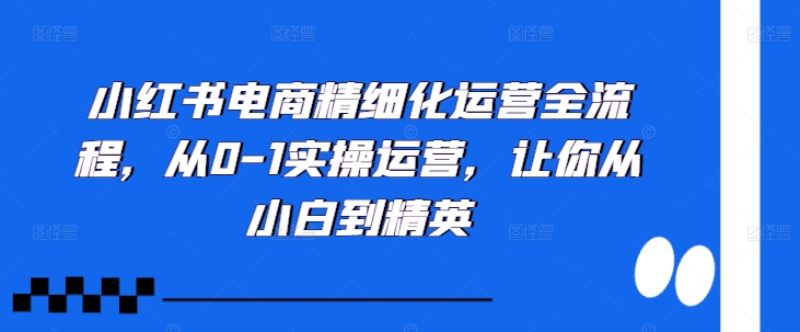 小红书电商精细化运营全流程，从0-1实操运营，让你从小白到精英 - 搞薯条网-搞薯条网