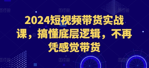 2024短视频带货实战课，搞懂底层逻辑，不再凭感觉带货 - 搞薯条网-搞薯条网