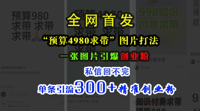 小红书“预算4980带我飞”图片打法，一张图片引爆创业粉，私信回不完，单条引流300+精准创业粉 - 搞薯条网-搞薯条网